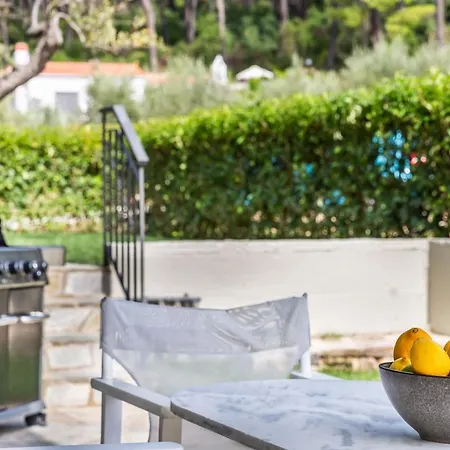 Luxury With Private Pool In Skopelos, Ideal For Families, Aelia By Kardous *